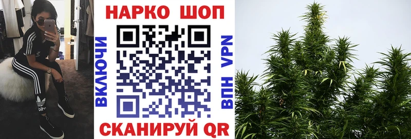 Где продают наркотики Мураши Alpha PVP БУТИРАТ ГАШИШ Мефедрон МАРИХУАНА Кокаин