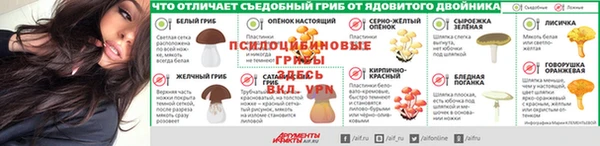дмт Нягань