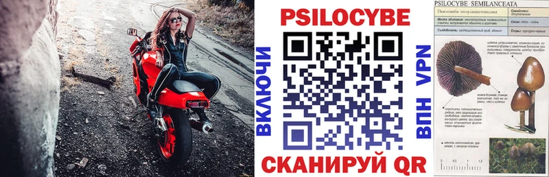 сколько стоит  Мураши  mega ССЫЛКА  маркетплейс какой сайт  Галлюциногенные грибы мицелий 